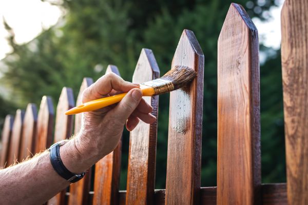 Backyard Fence Staining