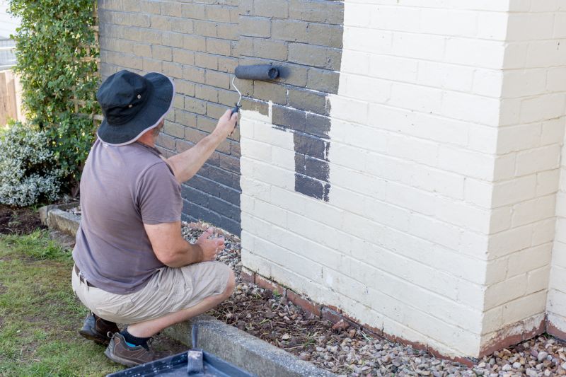 Painting of Backyard Exterior Walls